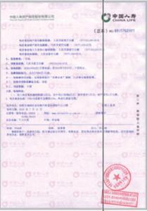 中國人壽保單-11